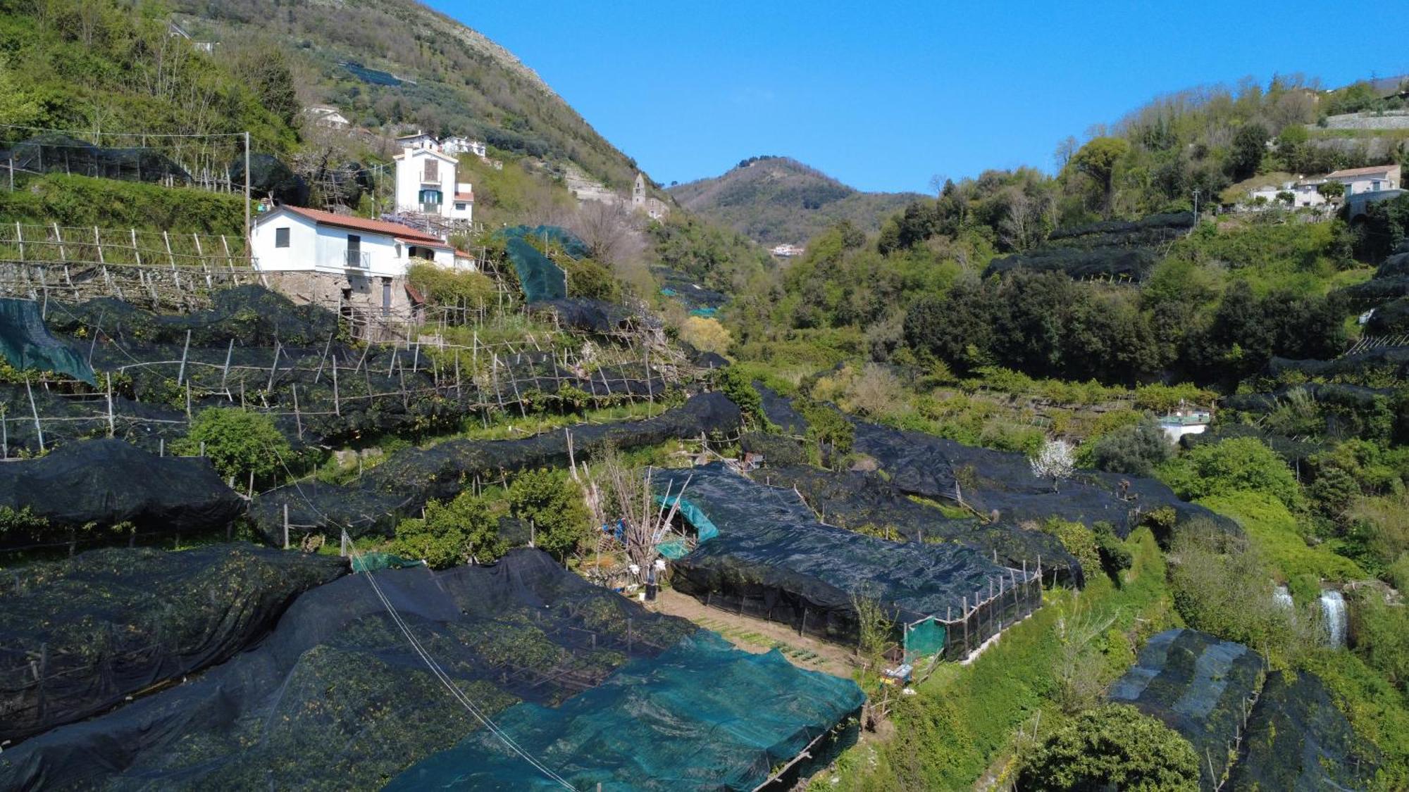 Antica Cartiera Sant'Elia Apartment Tramonti Exterior photo